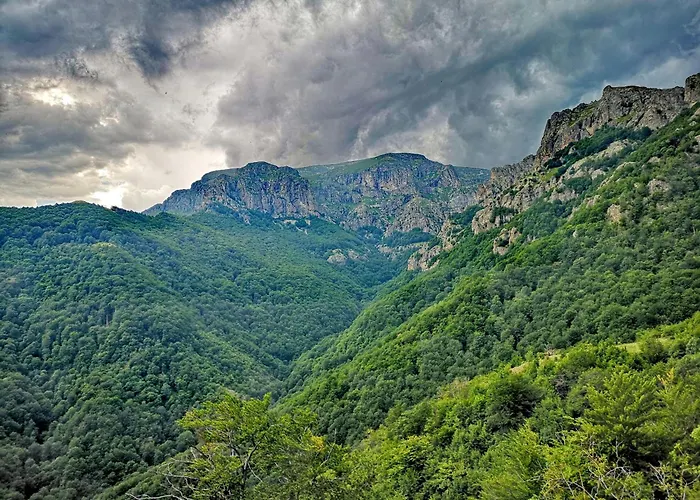 Elite Business With Free Gym Pass, Street Parking And Full Office Setup * Plovdiv