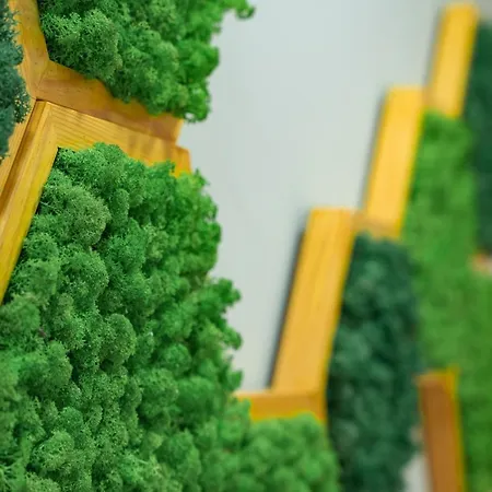 Elite Business With Free Gym Pass, Street Parking And Full Office Setup Apartament Płowdiw