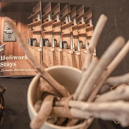 Elite Business With Free Gym Pass, Street Parking And Full Office Setup Apartament Płowdiw