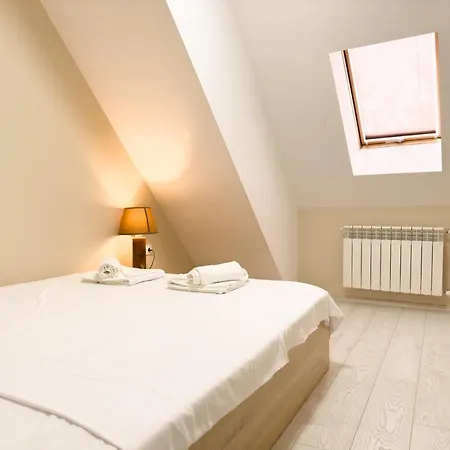 Elite Business With Free Gym Pass And Full Office Setup Apartment