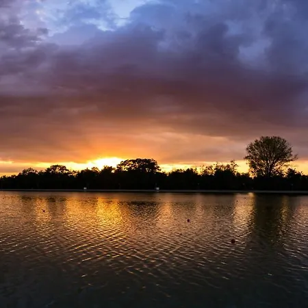 Elite Business With Free Gym Pass, Street Parking And Full Office Setup Plovdiv