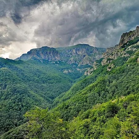 Elite Business With Free Gym Pass, Street Parking And Full Office Setup * Plowdiw