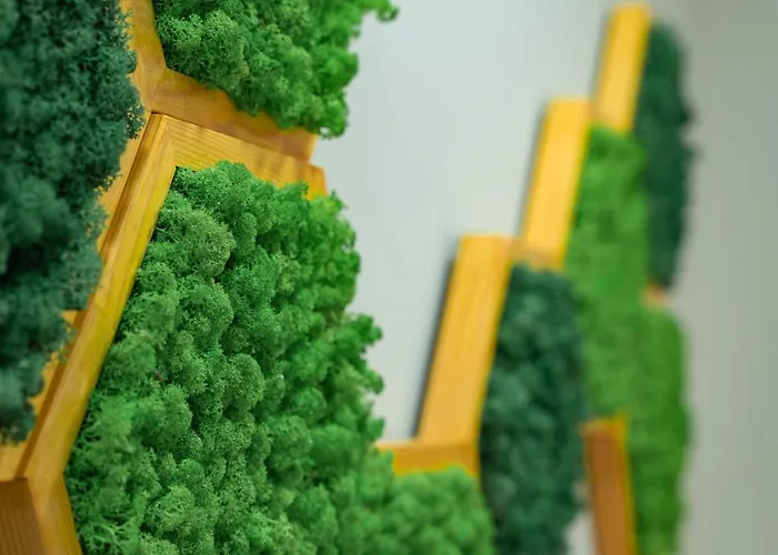 Elite Business With Free Gym Pass, Street Parking And Full Office Setup Apartment Plowdiw