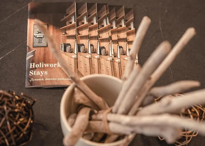 Elite Business With Free Gym Pass, Street Parking And Full Office Setup Apartment Plowdiw