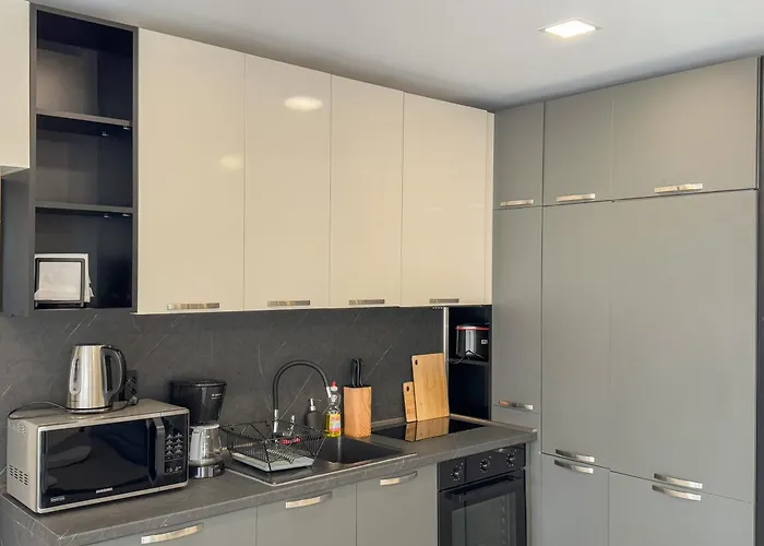 Elite Business With Free Gym Pass, Street Parking And Full Office Setup Apartment